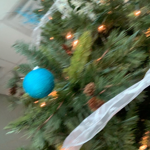 Meet your Posher, Kinyanna - Picture 1 of 1